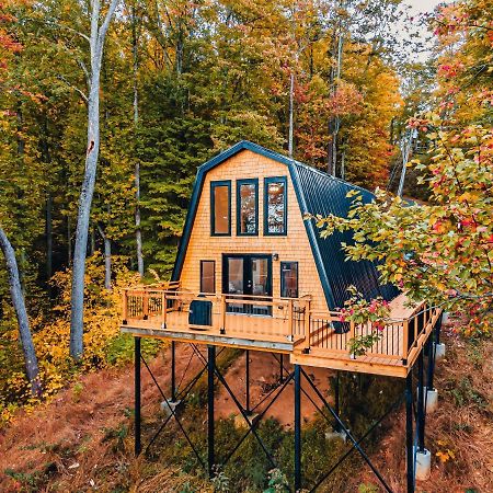 Secluded Mtn View New! 10 Mins To Gatlinburg Or Park Villa Exteriör bild