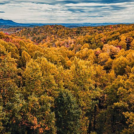 Secluded Mtn View New! 10 Mins To Gatlinburg Or Park Villa Exteriör bild