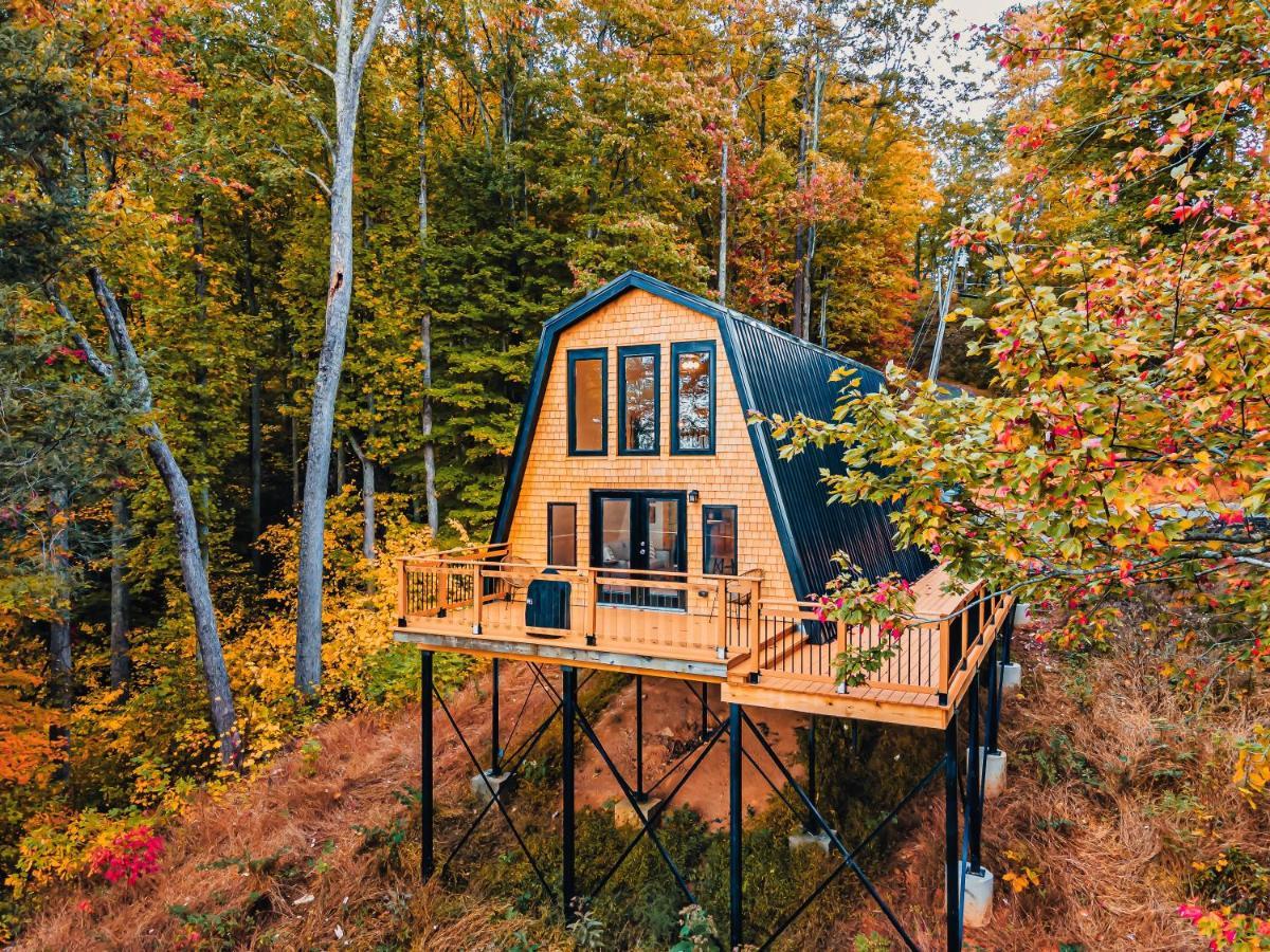 Secluded Mtn View New! 10 Mins To Gatlinburg Or Park Villa Exteriör bild