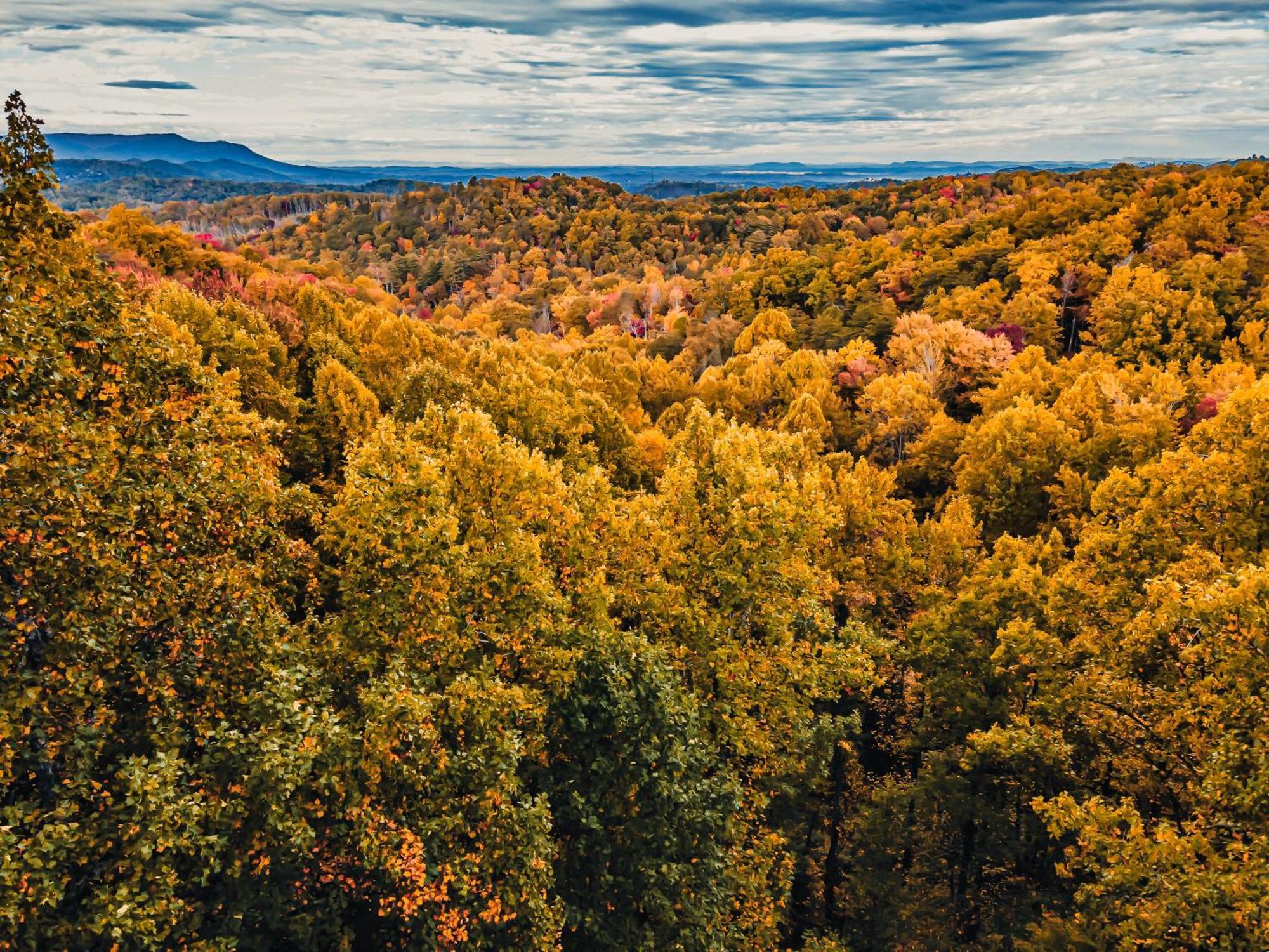 Secluded Mtn View New! 10 Mins To Gatlinburg Or Park Villa Exteriör bild